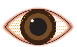 dry, gritty and irritated eyes