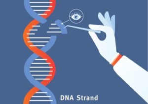 DNA and the Eyes